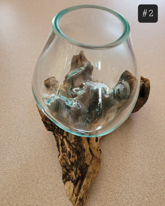 Glass & Driftwood Bowl